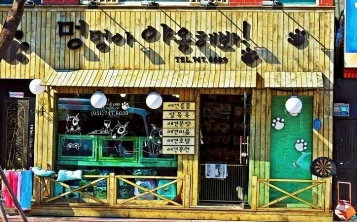 야옹 이미지