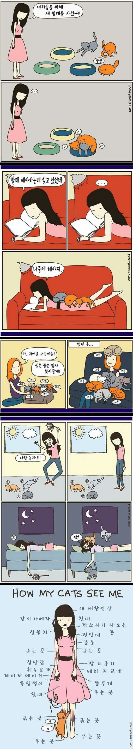 고양이 키우는 공감만화 | 인스티즈