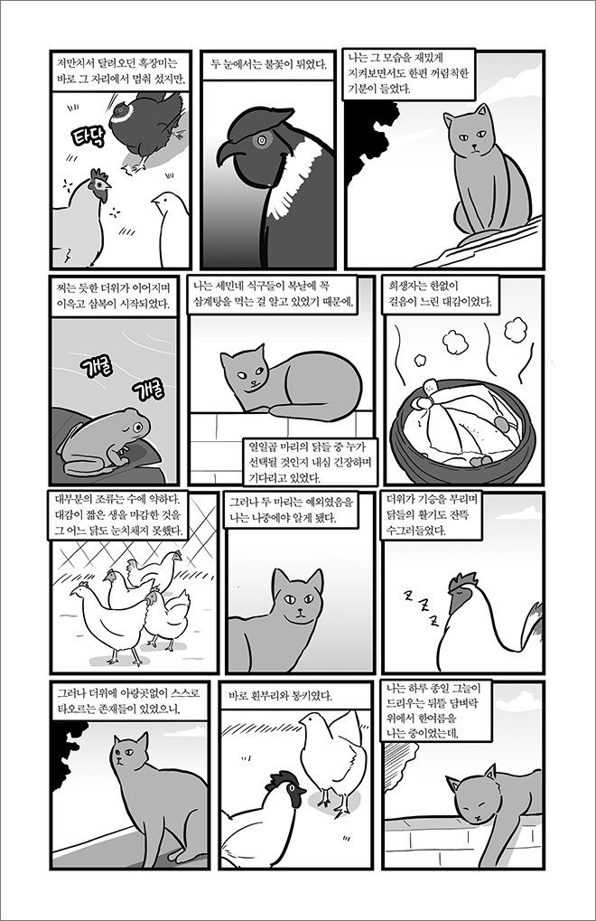 묘생만경 | 인스티즈
