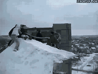 불곰국의 흔한 놀이 | 인스티즈