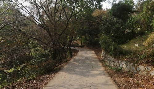  서울 사람도 모르는 서울의 숨겨진 장소들 | 인스티즈