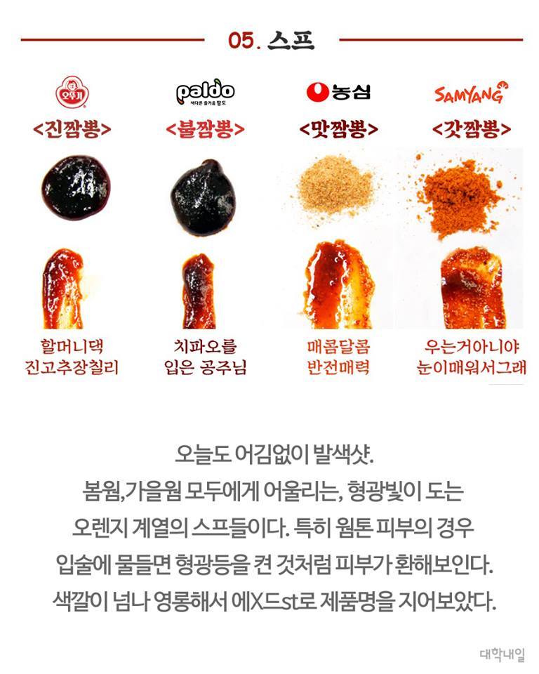 이정도면 4대 짬뽕라면 논문.jpg | 인스티즈