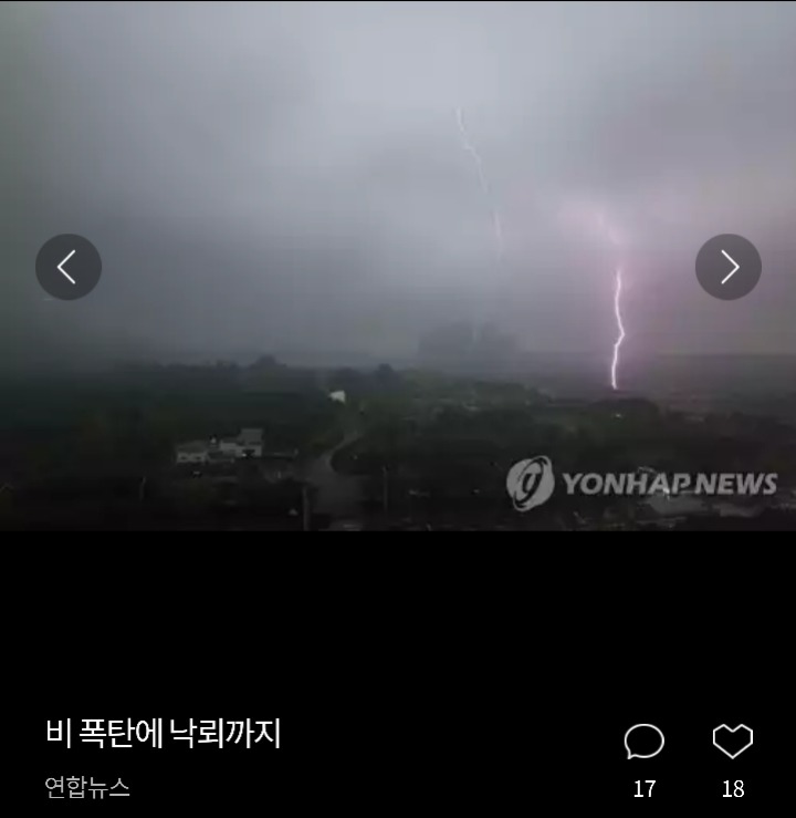 침수된 차량 위에 올라간 고양이 | 인스티즈