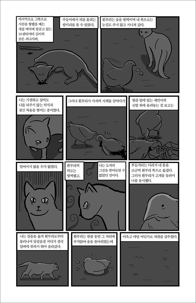 묘생만경 | 인스티즈