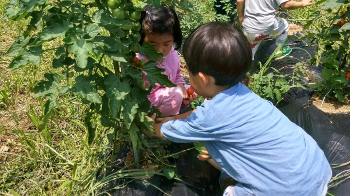 예랑도예원 이미지