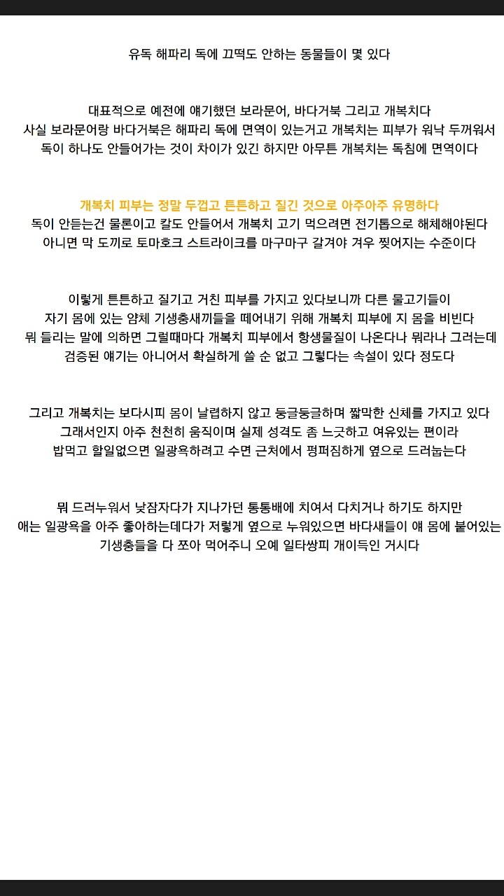 개복치가 죽는 진짜이유 | 인스티즈