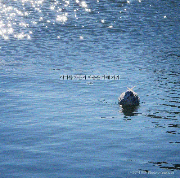 평생 삶의 결정적 순간을 찍으려 발버둥 쳤으나 삶의 모든 순간이 결정적 순간이었다 | 인스티즈