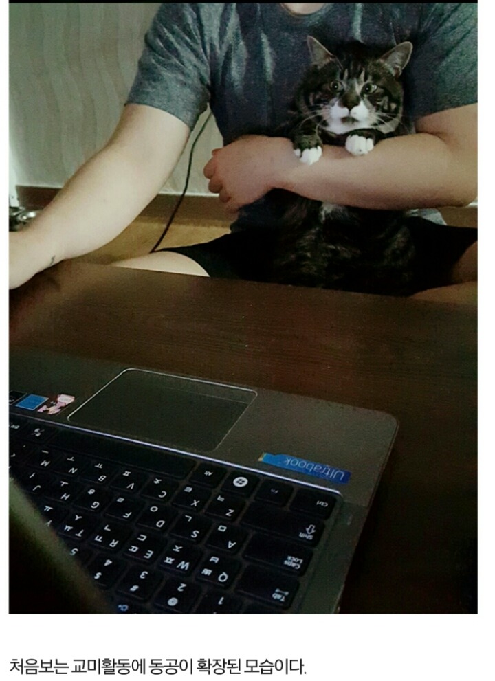 고양이 붕가를 본 야옹이 | 인스티즈