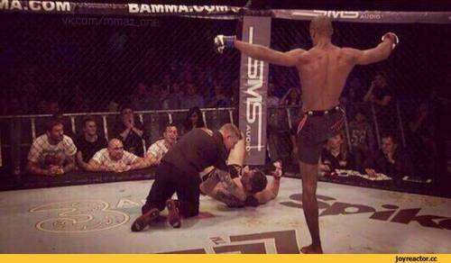 도발의 최후 | 인스티즈