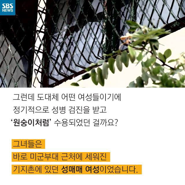 [그것이알고싶다] 우리는 원숭이가 아닙니다 | 인스티즈