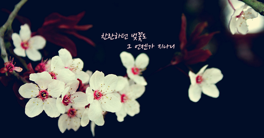 당신 생각을 켜 놓은 채 잠이 들었습니다 | 인스티즈