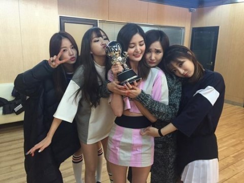 와요 이미지