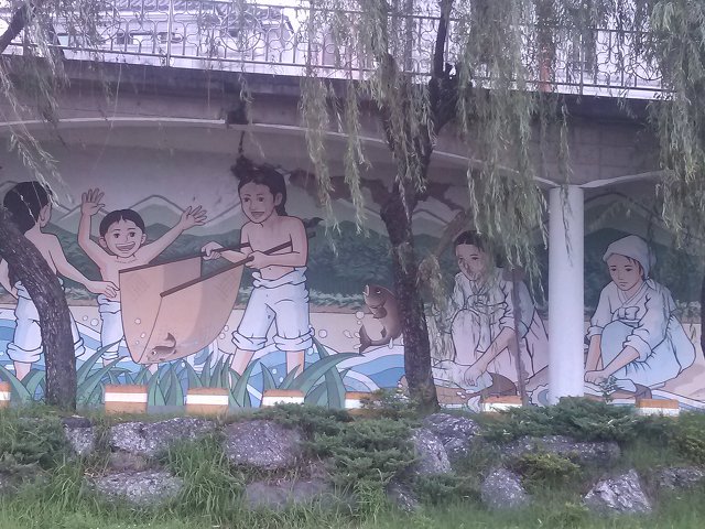 황금오리 이미지