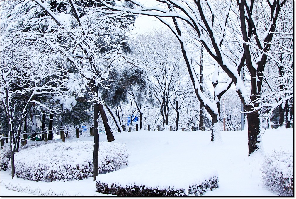 설화 이미지