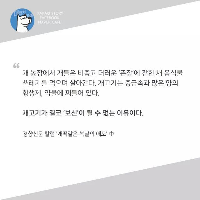개고기를 먹지말아야 하는 설득력있는 이유 | 인스티즈