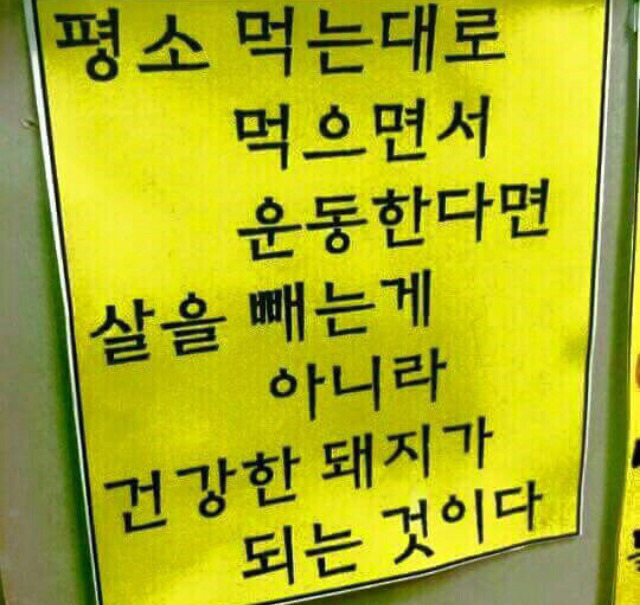 참와이 이미지