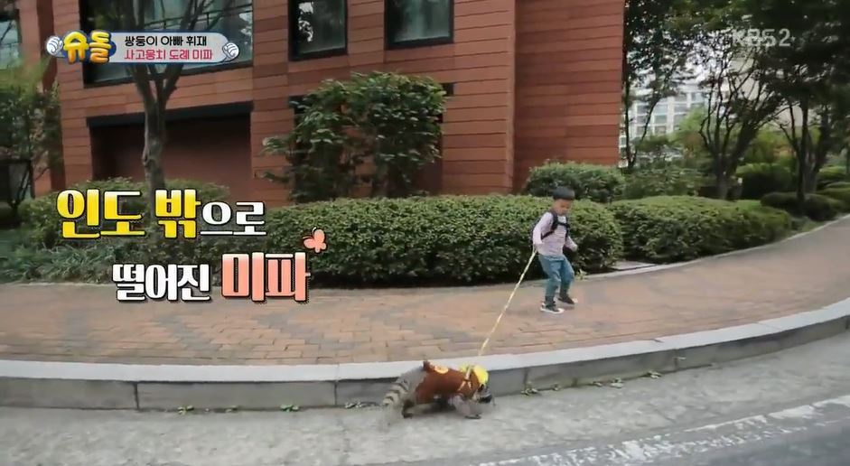 서언이 서준이 보면서 놀란 아이들의 감정 | 인스티즈