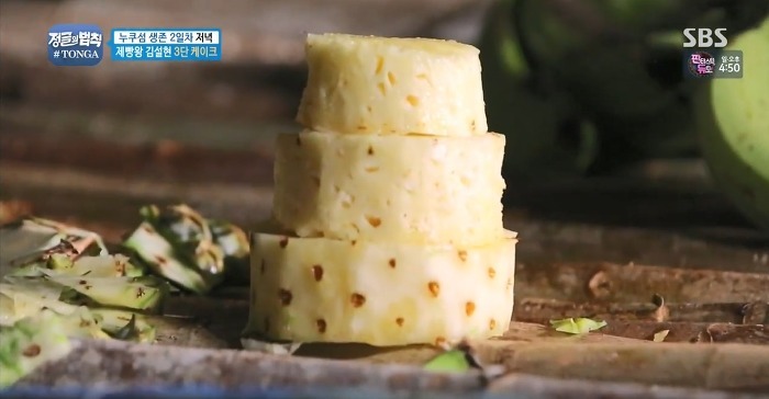 정글에서 생일을 맞은 찬성을 위해 설현이 만든 파인애플 3단케이크.jpg | 인스티즈