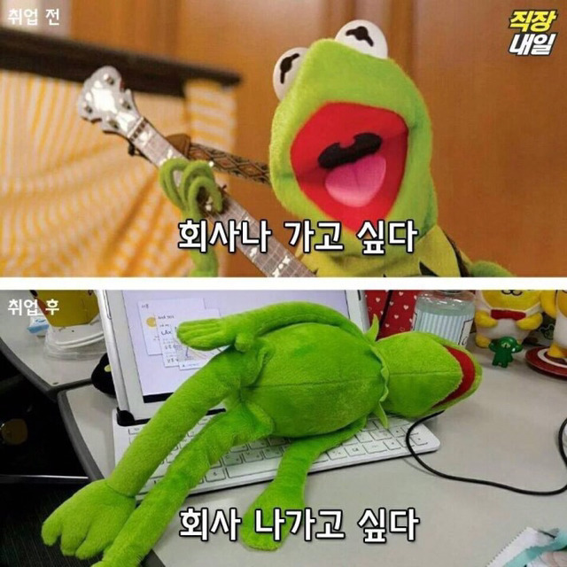 개구리파티는 아침해가뜨기전까지계속된다, | 인스티즈