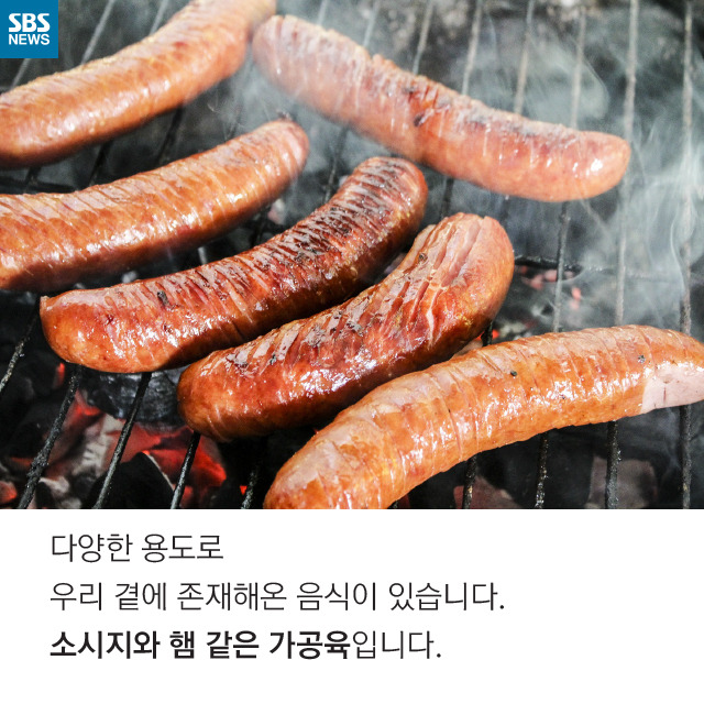 소시지는 암을 유발한다(?) | 인스티즈