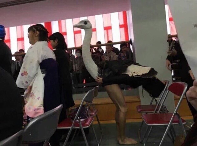 의정부고에 대적하는 일본 졸업식 졸업사진 | 인스티즈