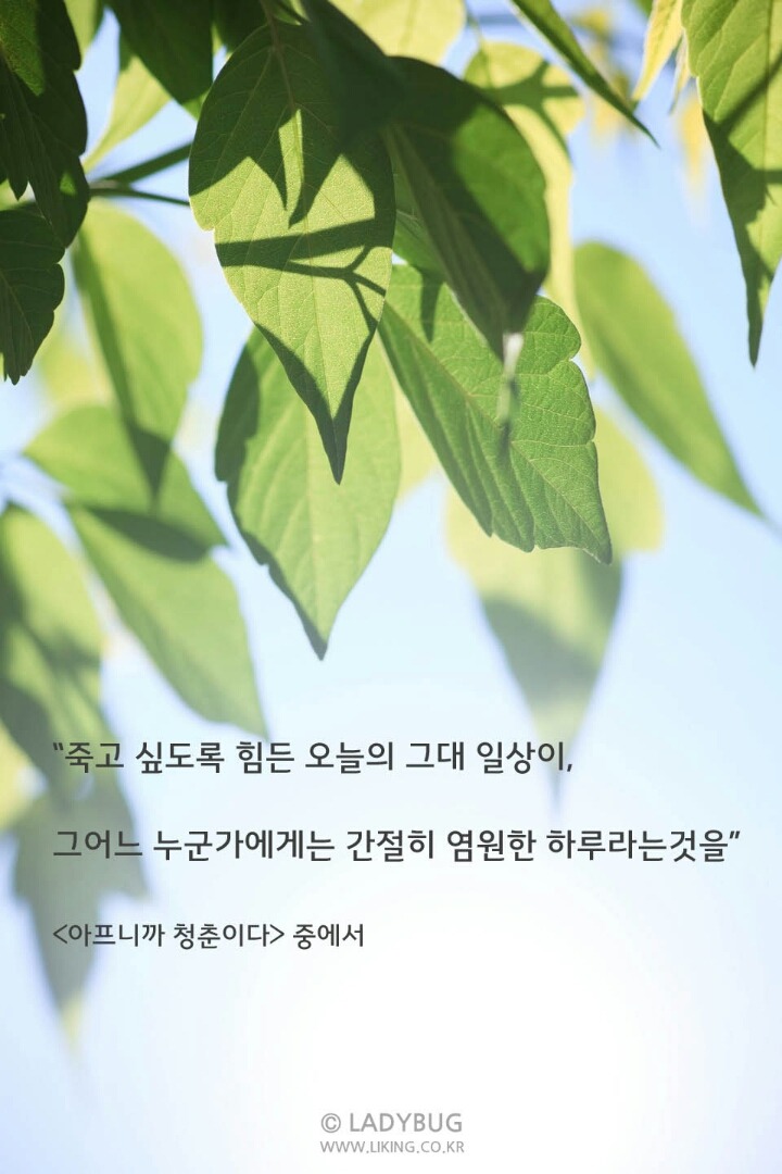 행복출발 이미지