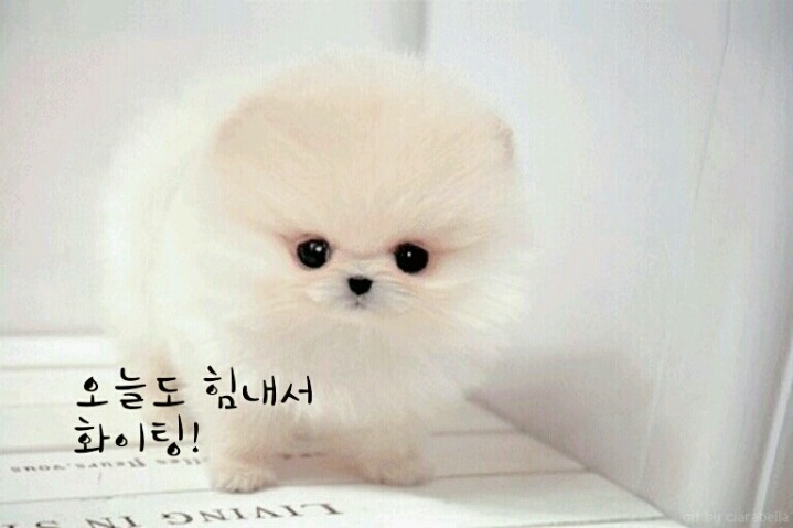 영서네 이미지