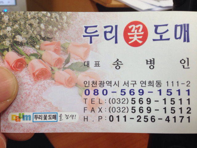 두리꽃도매 이미지