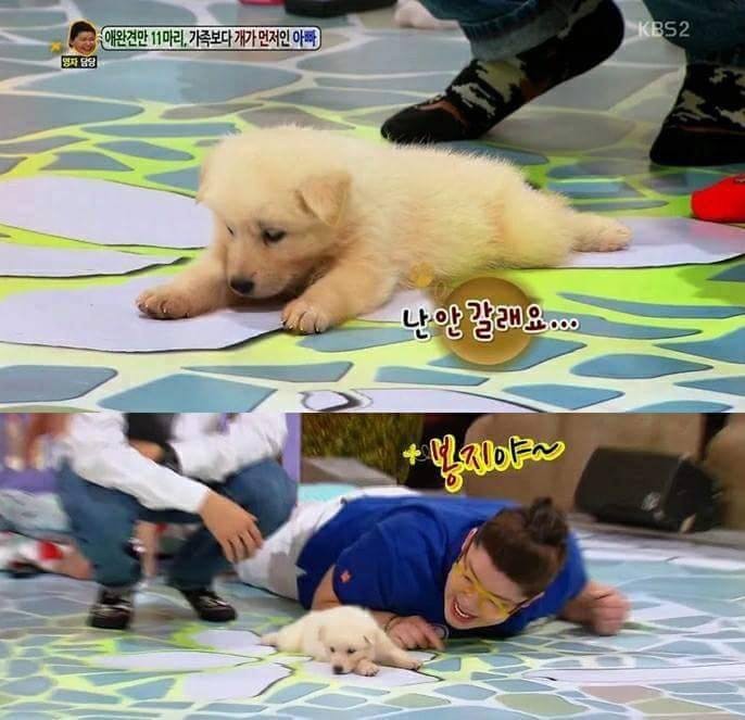 예능 나와서 대놓고 잠.. | 인스티즈