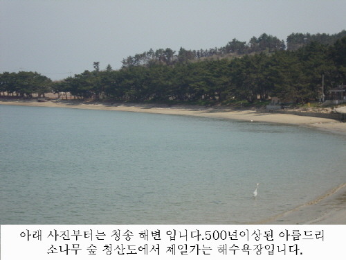 전망좋은펜션 이미지