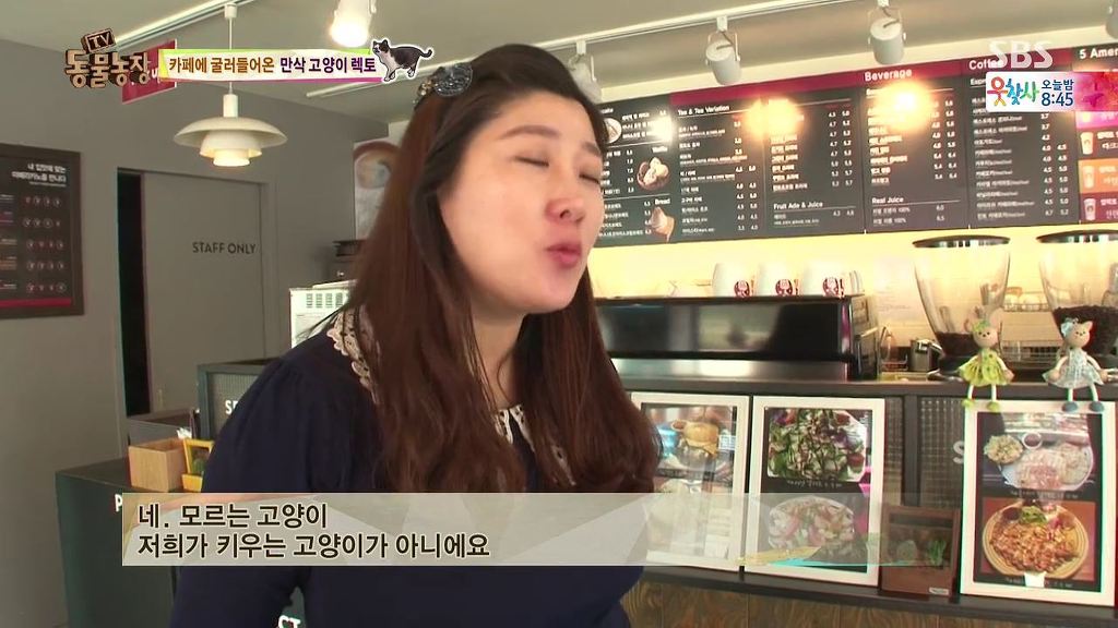동물농장 [카페에굴러들어온고양이렉토] | 인스티즈