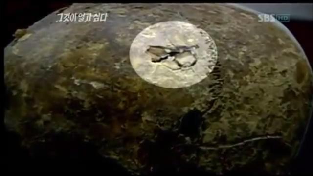 [그알] 개구리 소년 살인사건 | 인스티즈