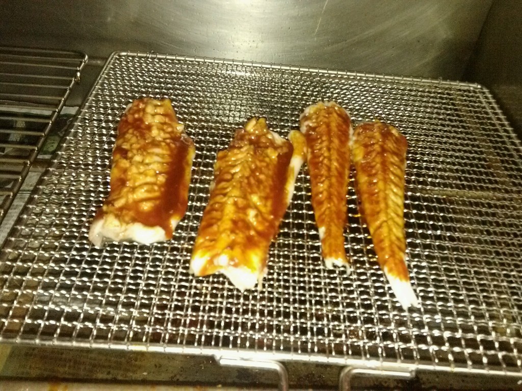 바다장어 이미지