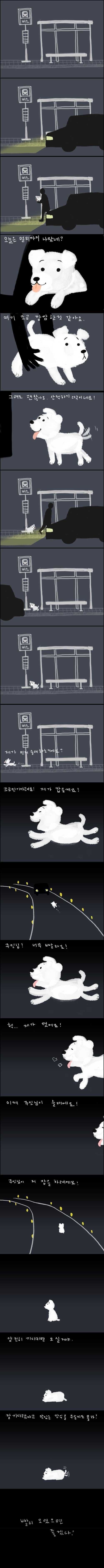 강아지 버려지는 만화 | 인스티즈