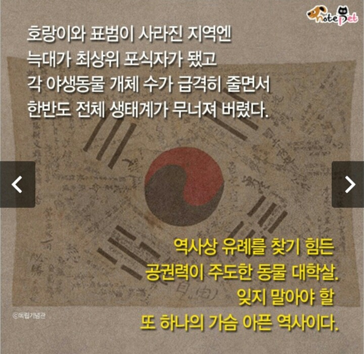 일제강점기 한반도에서 사라진 동물들.jpg | 인스티즈