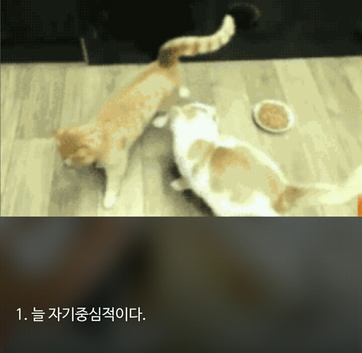 대화하기 싫은 사람들의 7가지 공통점 | 인스티즈