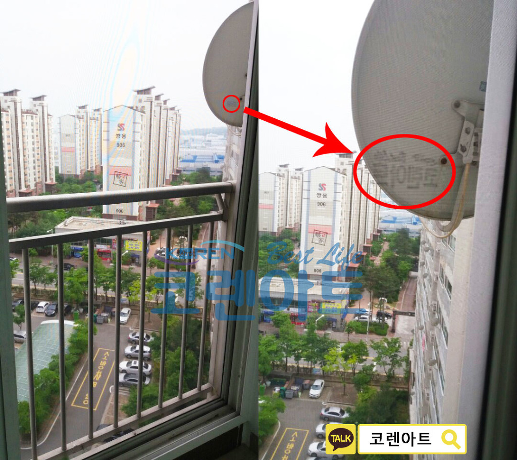 코렌 이미지