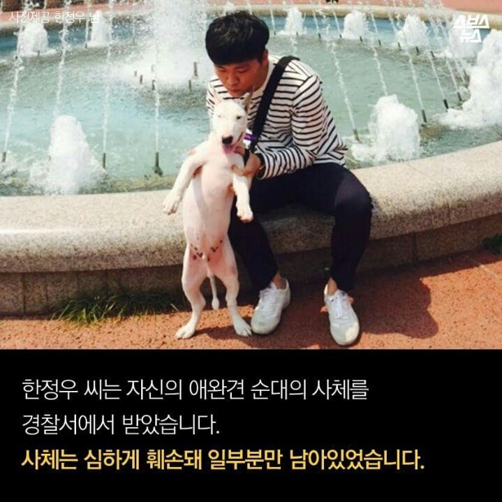 제 강아지가 잡아먹혔습니다 | 인스티즈