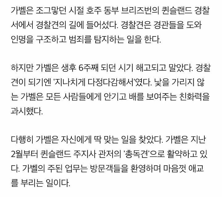 경찰견에서 짤린 이유.jpg | 인스티즈