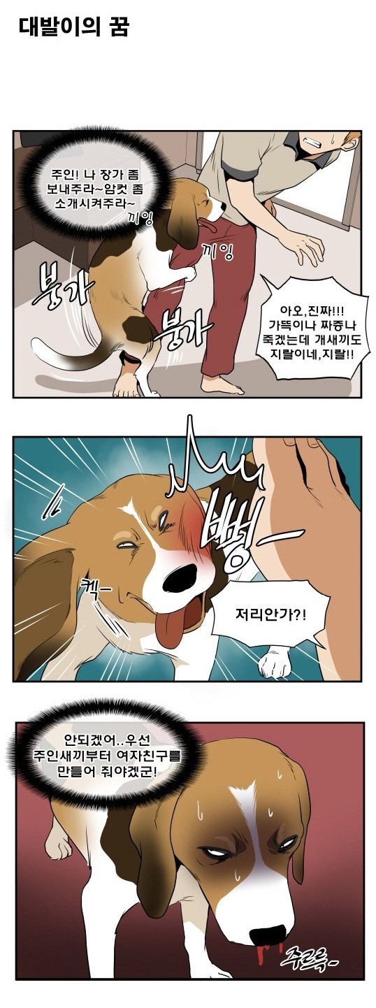 대발이의 꿈 | 인스티즈