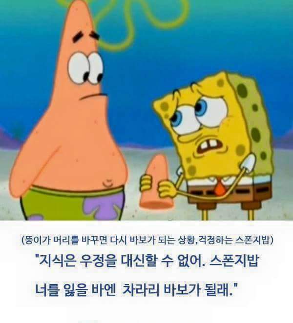 스펀지밥 뚱이의 명언들 | 인스티즈
