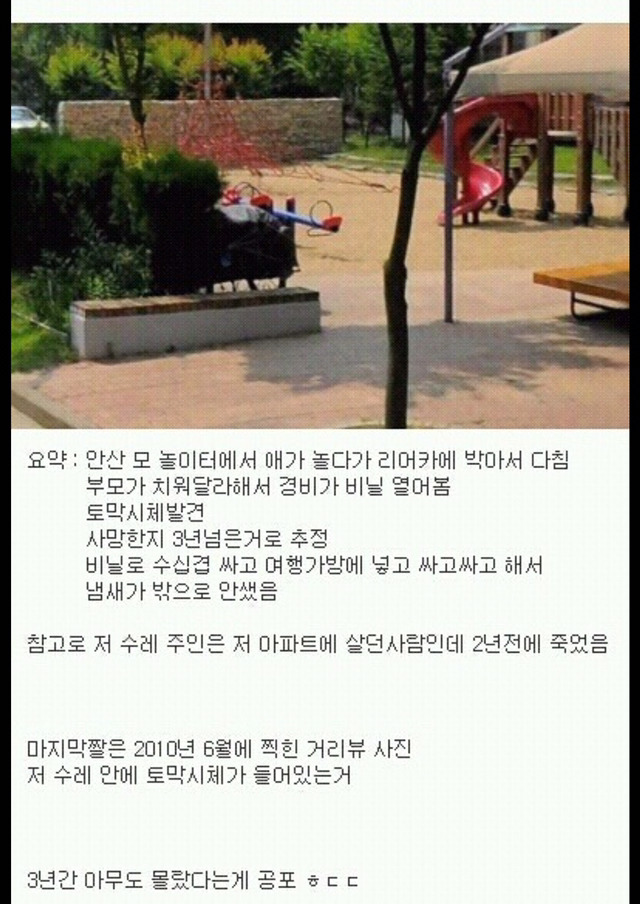 [무서움주의] 미제로 남은 안산 리어카 토막살인 사건 | 인스티즈