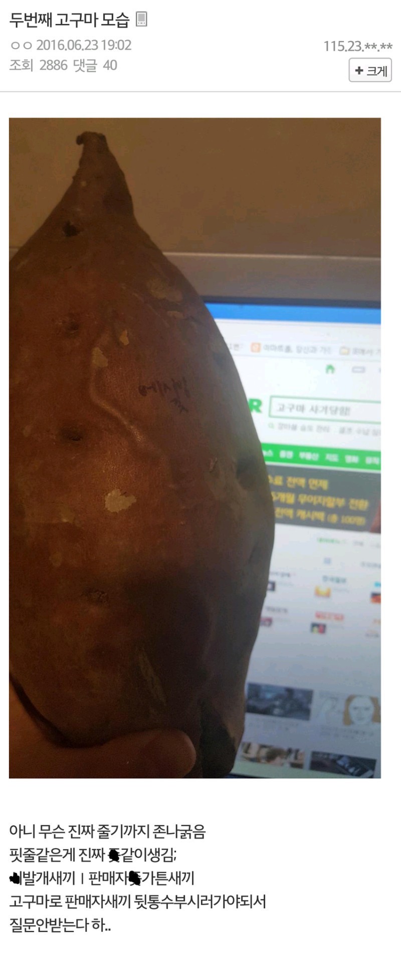 아 X발 고구마 샀는데 사기당한것 같다.jpg | 인스티즈