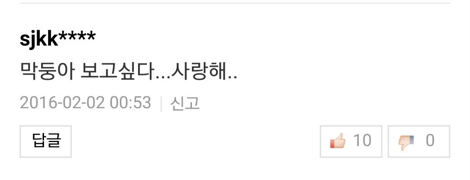 반려견과 이별한 사람들의 댓글.jpg (슬픔주의) | 인스티즈