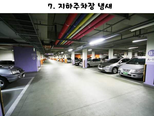 은근 좋아하는사람이 많은 냄새.jpg | 인스티즈