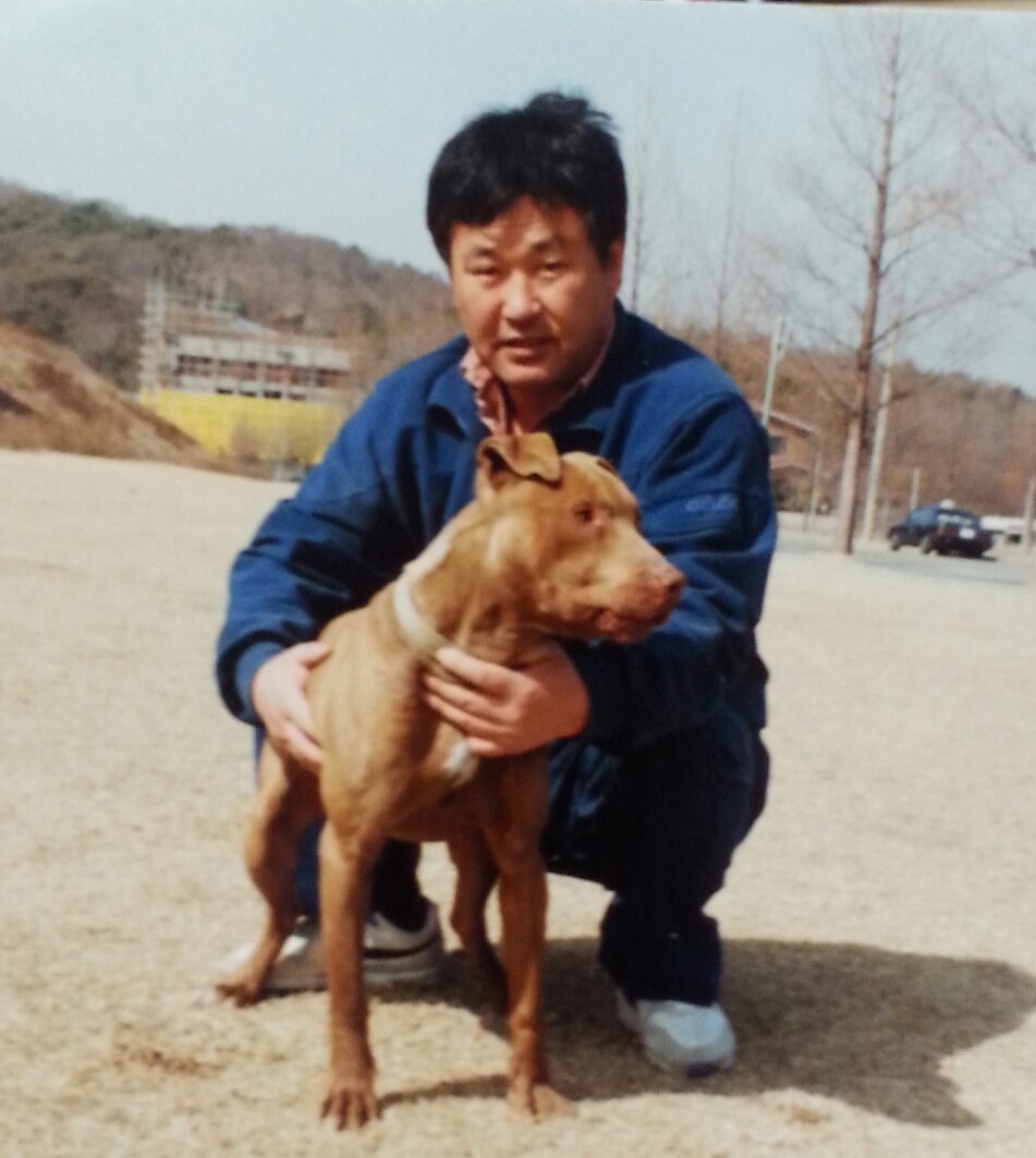 빅타 이미지