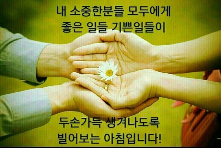 에너벨리 이미지