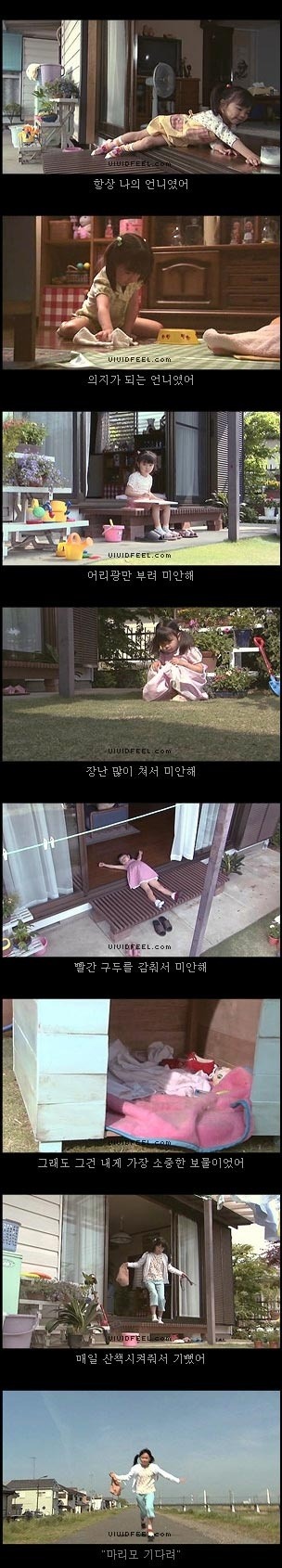 당신의 반려동물과의 이별을 생각해 본 적이 있습니까? | 인스티즈
