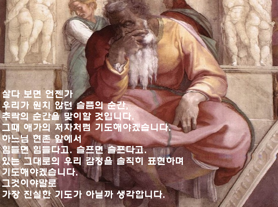 애가 이미지