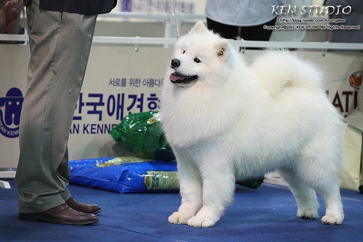 바하 이미지